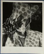 Andre Cauvin Homme Leopard Photography