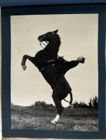 vintage photography album -  LES PELERINS DE SAUMUR