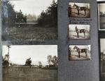 Photos Album Souvenir du 1er Concours Hippique International de Genève